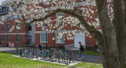 Students walking next to Hamilton Smith in the spring