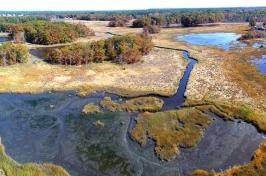 Drone image of salt marsh in autumn